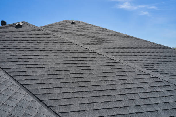 Best Solar Panel Roofing Installation  in Littlerock, CA